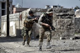 Iraq tiêu diệt 16.000 khủng bố IS trong chiến dịch giải phóng Mosul 